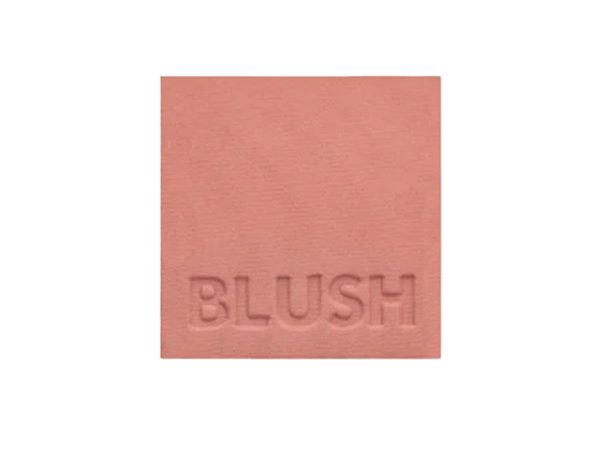 رنگ رژگونه پاستل (Pastel) مدل CRUSH شماره 302