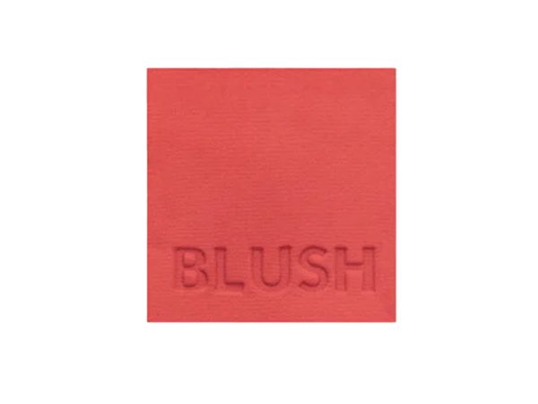 رنگ رژگونه پاستل (Pastel) مدل CRUSH شماره 304