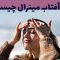 ضد آفتاب مینرال چیست؟