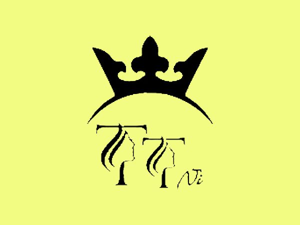 رنگ لاک ژل تی تی نی (TTNI) مدل MACARON شماره 13