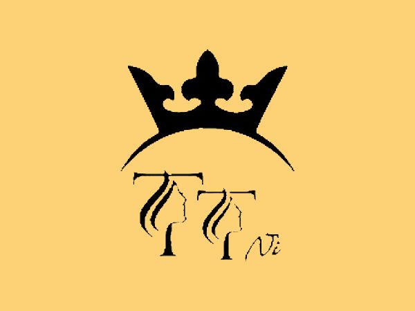رنگ لاک ژل تی تی نی (TTNI) مدل MACARON شماره 14