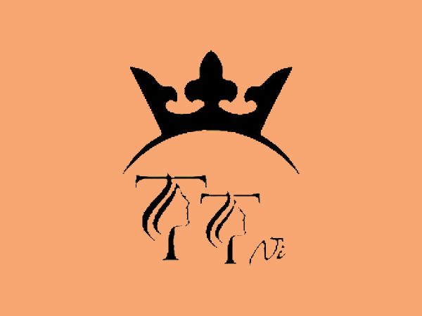 رنگ لاک ژل تی تی نی (TTNI) مدل MACARON شماره 15