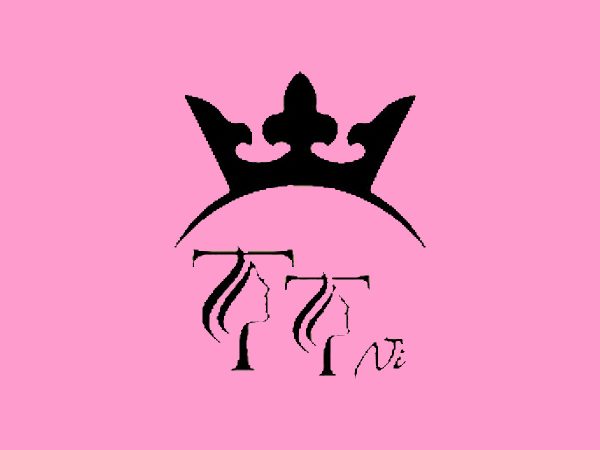 رنگ لاک ژل تی تی نی (TTNI) مدل MACARON شماره 19