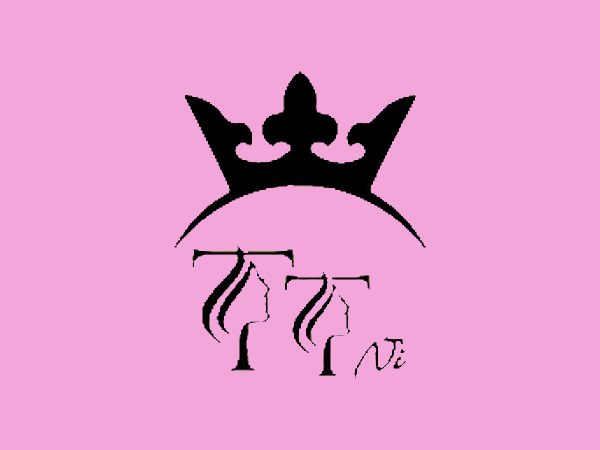 رنگ لاک ژل تی تی نی (TTNI) مدل MACARON شماره 20