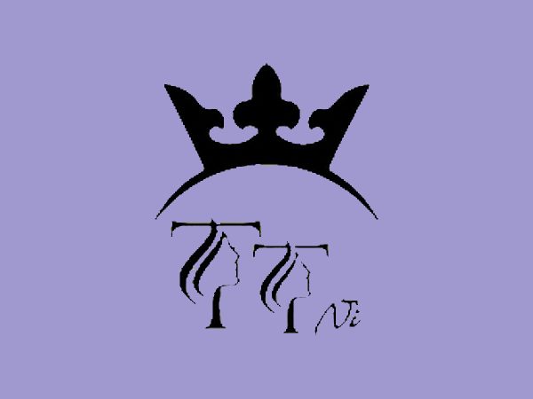 رنگ لاک ژل تی تی نی (TTNI) مدل MACARON شماره 21