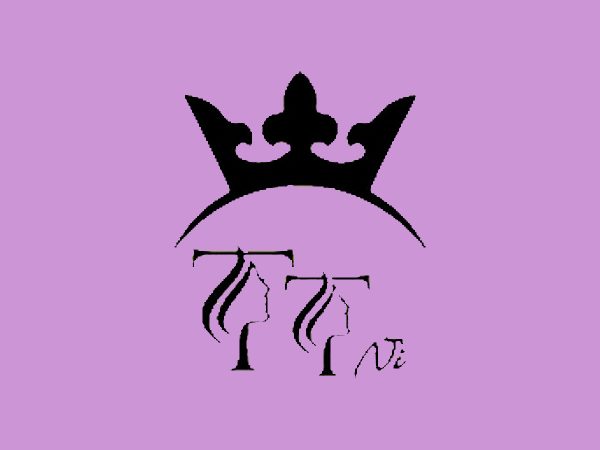 رنگ لاک ژل تی تی نی (TTNI) مدل MACARON شماره 23