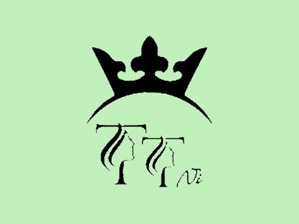 رنگ لاک ژل تی تی نی (TTNI) مدل MACARON شماره 24