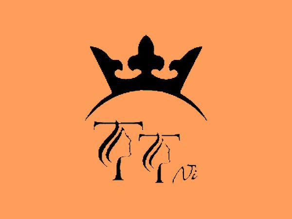 رنگ لاک ژل تی تی نی (TTNI) مدل PASTEL شماره 03