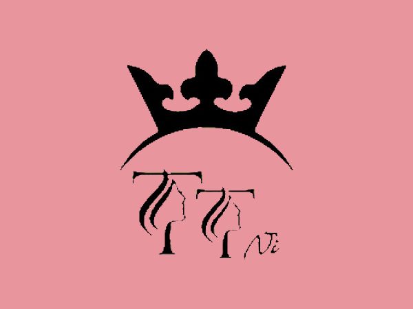 رنگ لاک ژل تی تی نی (TTNI) مدل PASTEL شماره 04