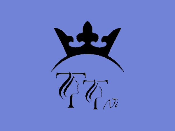 رنگ لاک ژل تی تی نی (TTNI) مدل PASTEL شماره 08