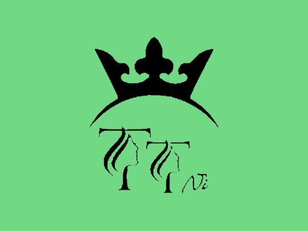 رنگ لاک ژل تی تی نی (TTNI) مدل PASTEL شماره 10